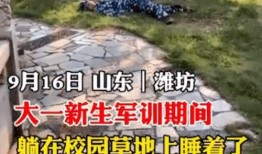 大学最新吃瓜爆料,最新大学吃瓜爆料大揭秘